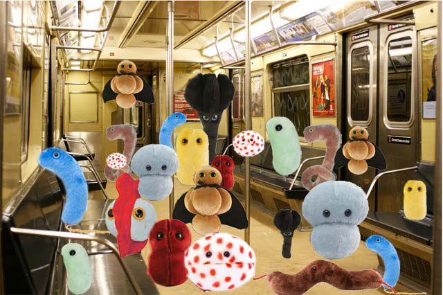 Subway germs courtesy Jen Chung